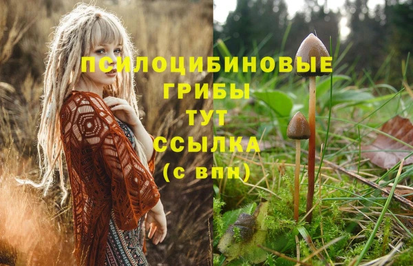 прущий лед Балабаново