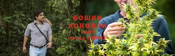 бутират Баксан