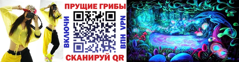 Псилоцибиновые грибы GOLDEN TEACHER Белёв