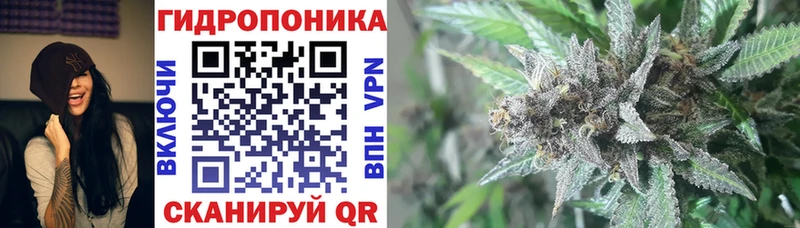 Шишки марихуана тримм  где найти наркотики  Белёв 